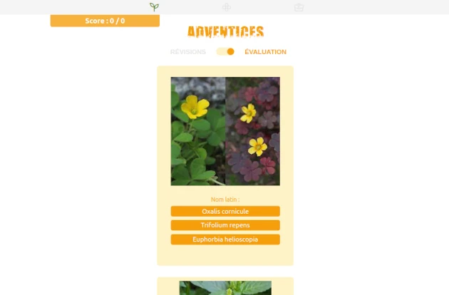 Révisions2Plantes